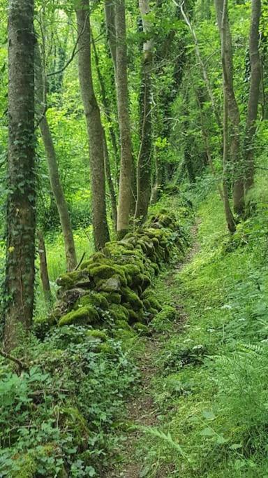 Chambre A La Campagne Saint Andre De Chalencon Bagian luar foto