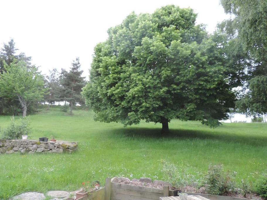 Chambre A La Campagne Saint Andre De Chalencon Bagian luar foto
