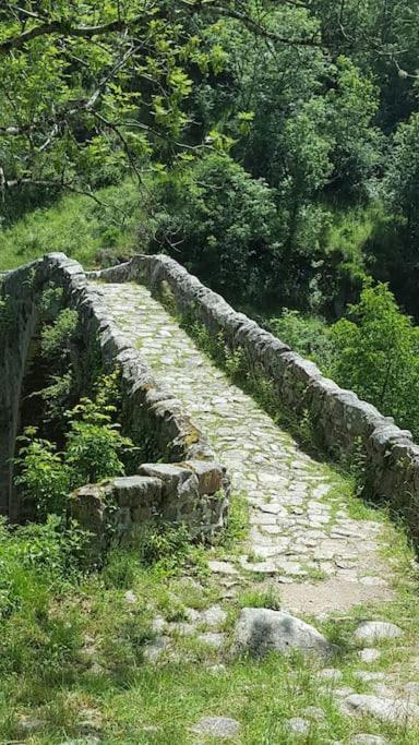 Chambre A La Campagne Saint Andre De Chalencon Bagian luar foto