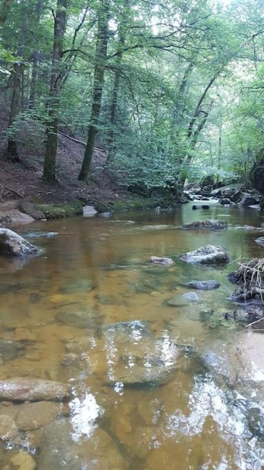 Chambre A La Campagne Saint Andre De Chalencon Bagian luar foto